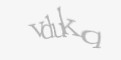 Güvenlik kodu