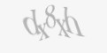 Güvenlik kodu