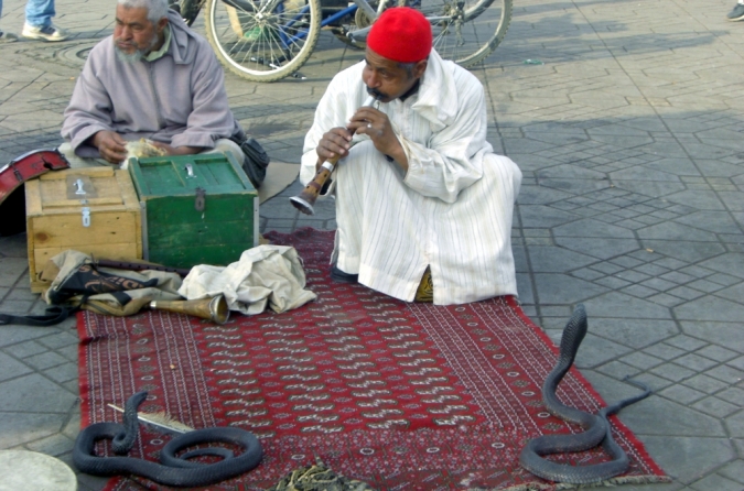 Jamaa-El-Fna'da (Kıyamet Meydanı) yılan oynatıcısı, Marakeş, Fas.